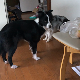 カメラを向けると止めるの画像