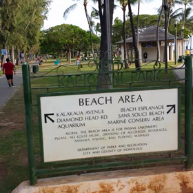 ピエンヌミニミニの手のひらの景色♡♪の画像