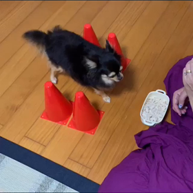 宿題 シェリ編の画像