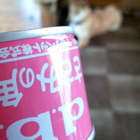 特売デビフの画像