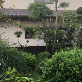 昨日の大雨の画像