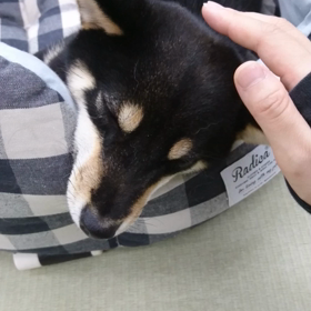 ★ 起きてますよ？ ★の画像