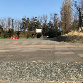 今朝の痛みの画像