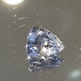 マスクラバイト見付けた!!の画像