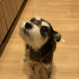 視線で察しての画像