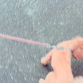 1/3 あけましておめでとうございますの画像