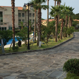 シアペン１泊2日収穫旅行の画像