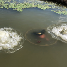 愉快な妖怪たちの画像