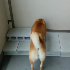 阻止‼︎の画像