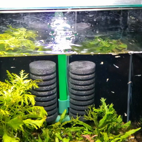 テトラスポンジフィルターの画像