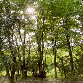 “自然と音遊び” プロジェクト vol.004！の画像