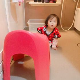 みつ葉の探検の画像