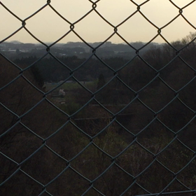 クマ出没Σ（ﾟдﾟlll）の画像