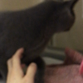 お泊り♡モネちゃんの画像