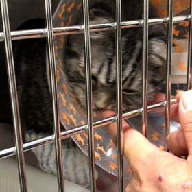 あろえ、退院延期になりましたの画像