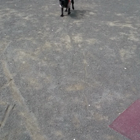 今日は暑くなりそう！の画像