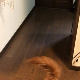 空中キャッチ撮影成功！の画像