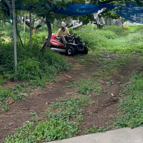 2023/08/20の画像