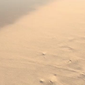 January 1, 2017の画像