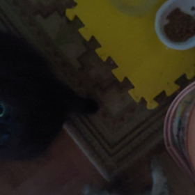 ┐(´д｀)┌の画像