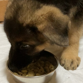 そうだった〜の画像