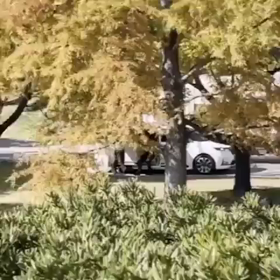 ビッグマウス　撮影中　　11.3の画像