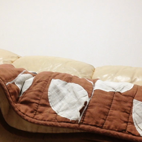 バーディーの画像