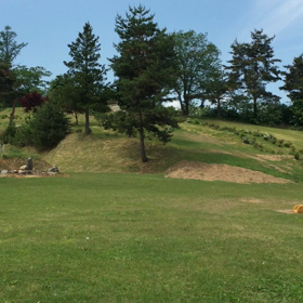 つつじ祭りに行って来ましたV(^_^)Vの画像