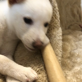 おはよう　そらの画像