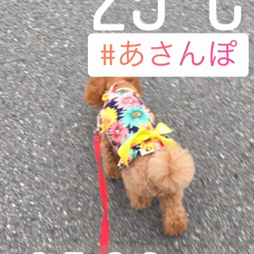 おやすみが刻々と（2m26d）の画像