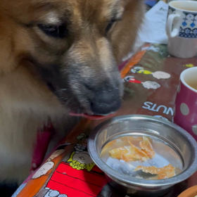 みんなと一緒に居たいのの画像