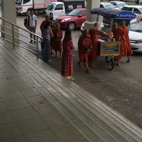 托鉢、冠水、野犬の画像