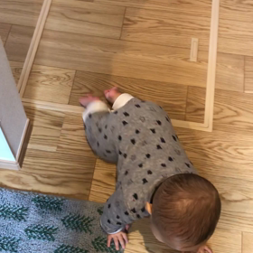 生後8ヶ月と14日★ハイハイの画像