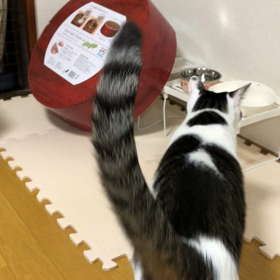 ご飯カバーの画像