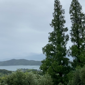 “自然と音遊び” プロジェクト vol.040！の画像