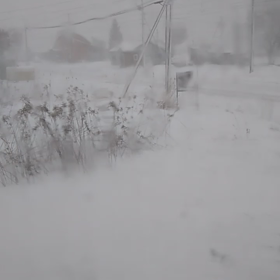 猛吹雪です。☃️の画像