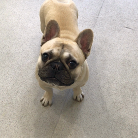 ♪プレイルーム動画♪②の画像