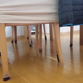 歌うワンコの画像