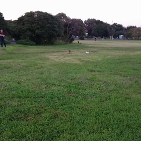 走るれもん☆の画像