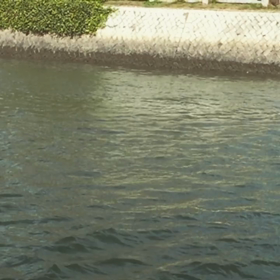 まだ広島にいます！の画像