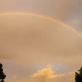 嫌いか好きか、、、どっち？の画像