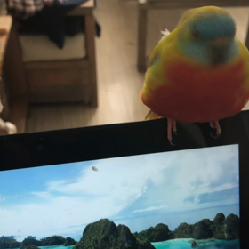 衝撃のラストの画像