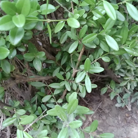 秋の気配の画像