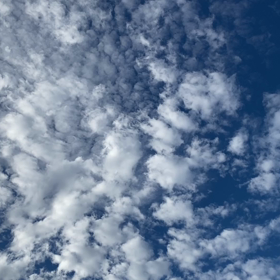 “自然と音遊び” プロジェクト vol.074！の画像