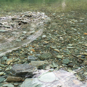 高知の清流〜〜涼しさと癒しを〜〜の画像