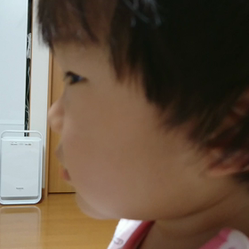 大好き✨わんわん・うーたんファミリーコンサートの画像