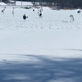 お久しぶりです。の画像