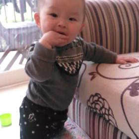 動画　ブーの画像