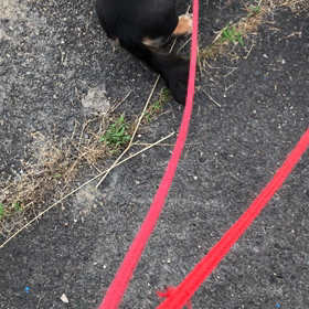 ちょっと待って〜の画像