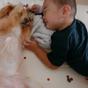 まったりの画像